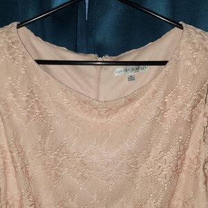 Sandra Darren Blush Lace Overlay Dress